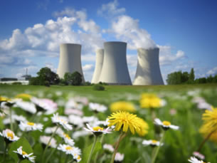 Nuclear Power Plant and Flowering Meadow
